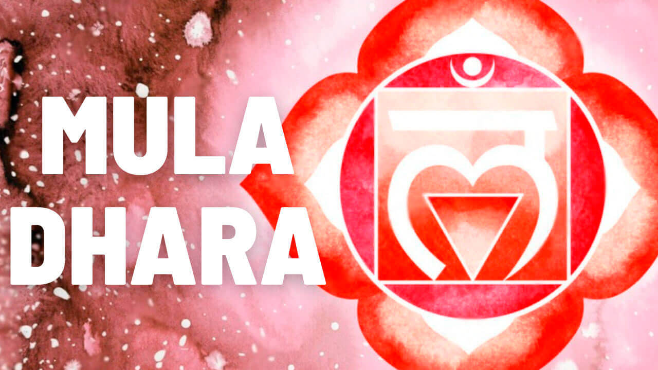 curso muladhara